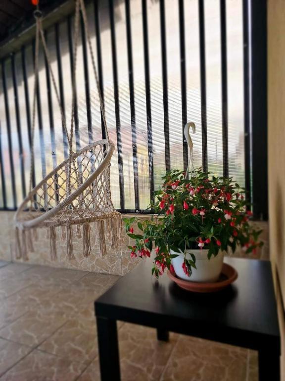 Pensiunea Relax Curtea de Argeş Εξωτερικό φωτογραφία